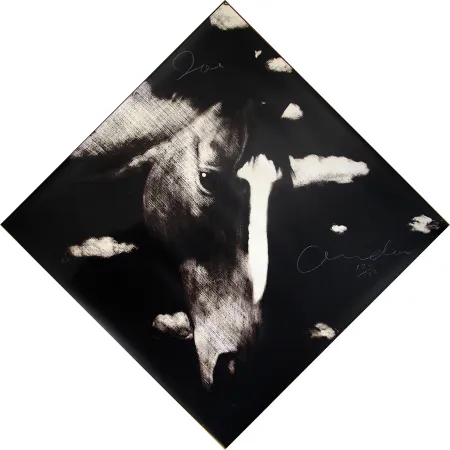 Serigrafia Andoe - Horse II