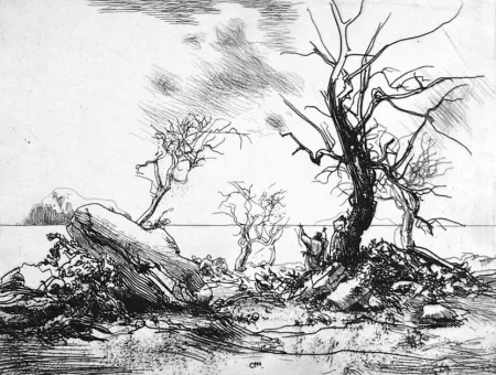 Acquaforte Annigoni - Paesaggio