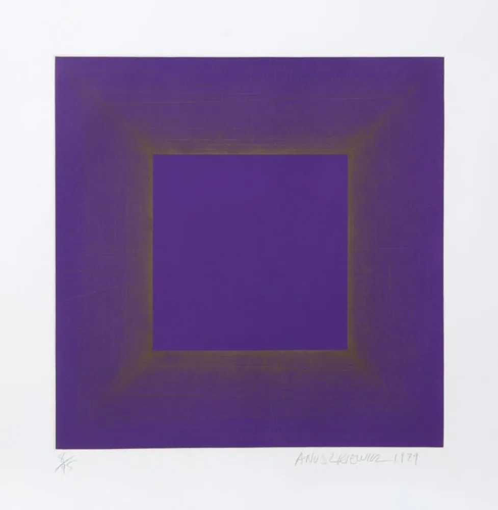 Acquatinta Anuszkiewicz - Midnight Suite (Purple with Silver)