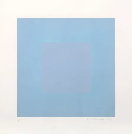 Acquatinta Anuszkiewicz - Winter Suite (Light Blue with Light Blue)