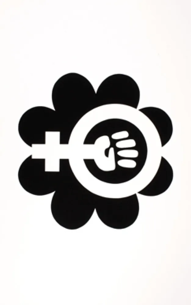 Serigrafia Apfelbaum - NOW - National Organization of Women