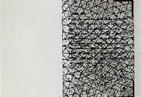 Incisione Arakawa - Outside blank