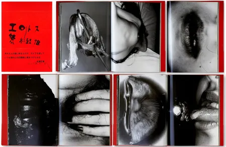 Libro Illustrato Araki - EROTOS (1993)