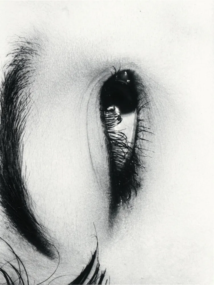 Multiplo Araki - Untitle from Erotos