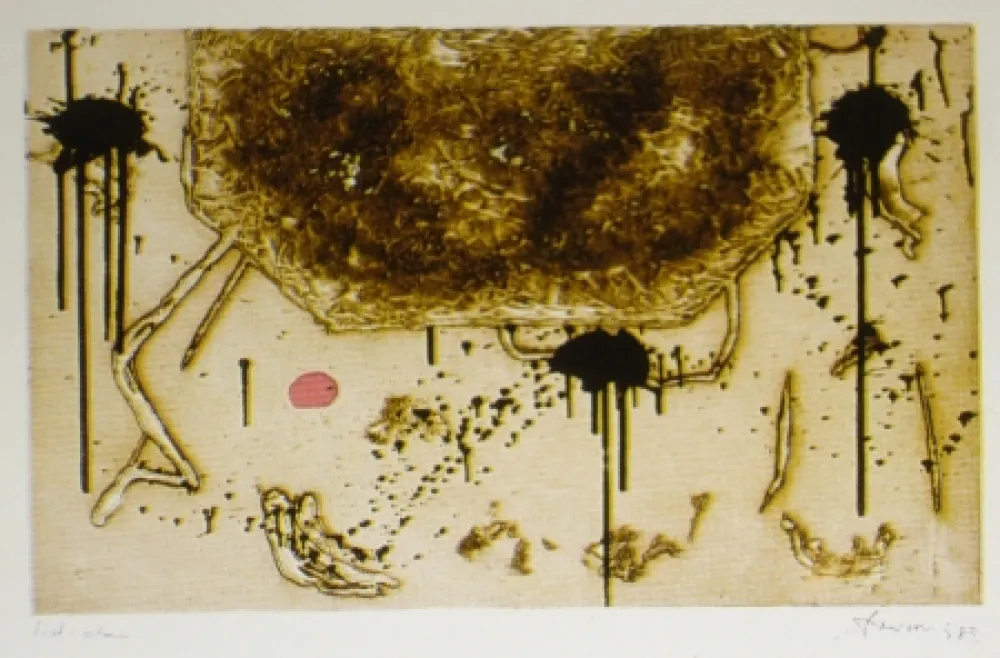 Acquaforte E Acquatinta Argimon - Forma bistre