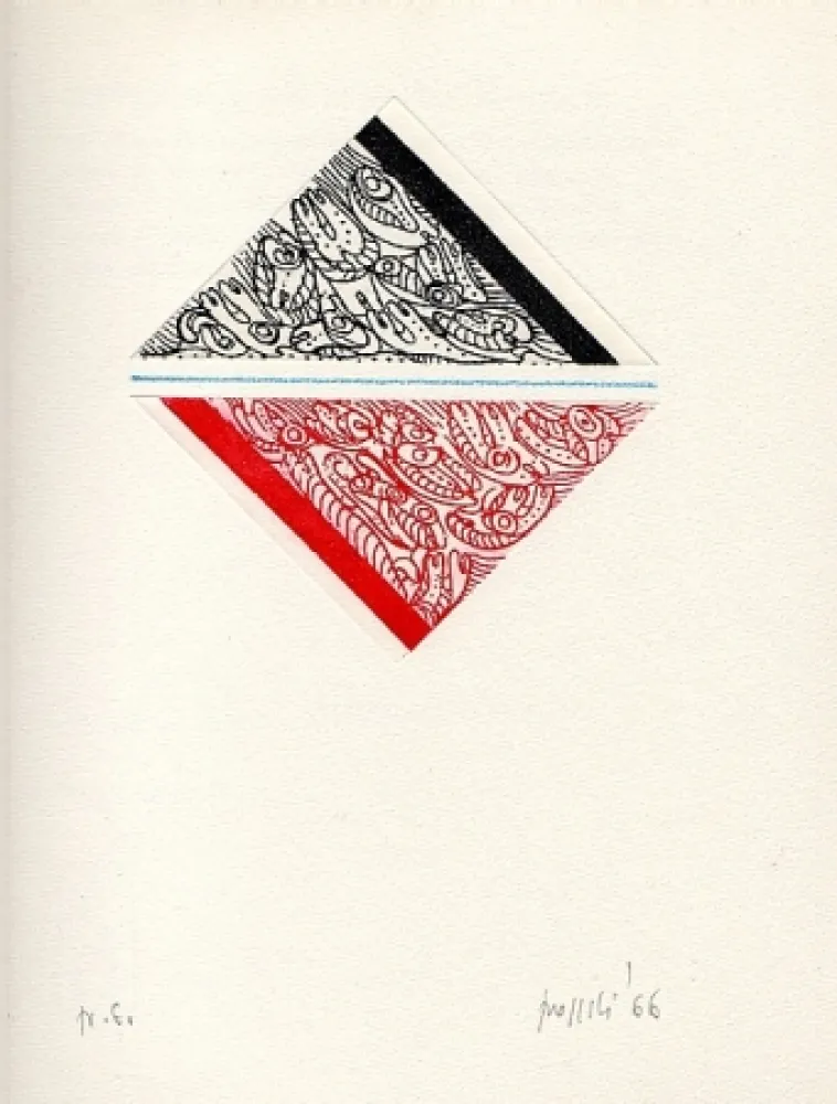 Libro Illustrato Aricò - Controcanto con la neve e un viaggio