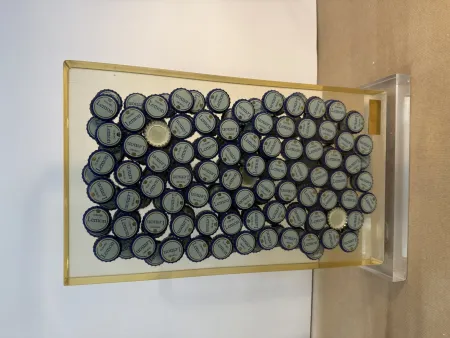 Non Tecnico Arman - Bon santé V, 1996 