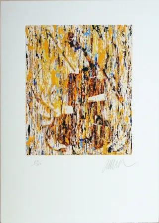 Serigrafia Arman - VIOLINO