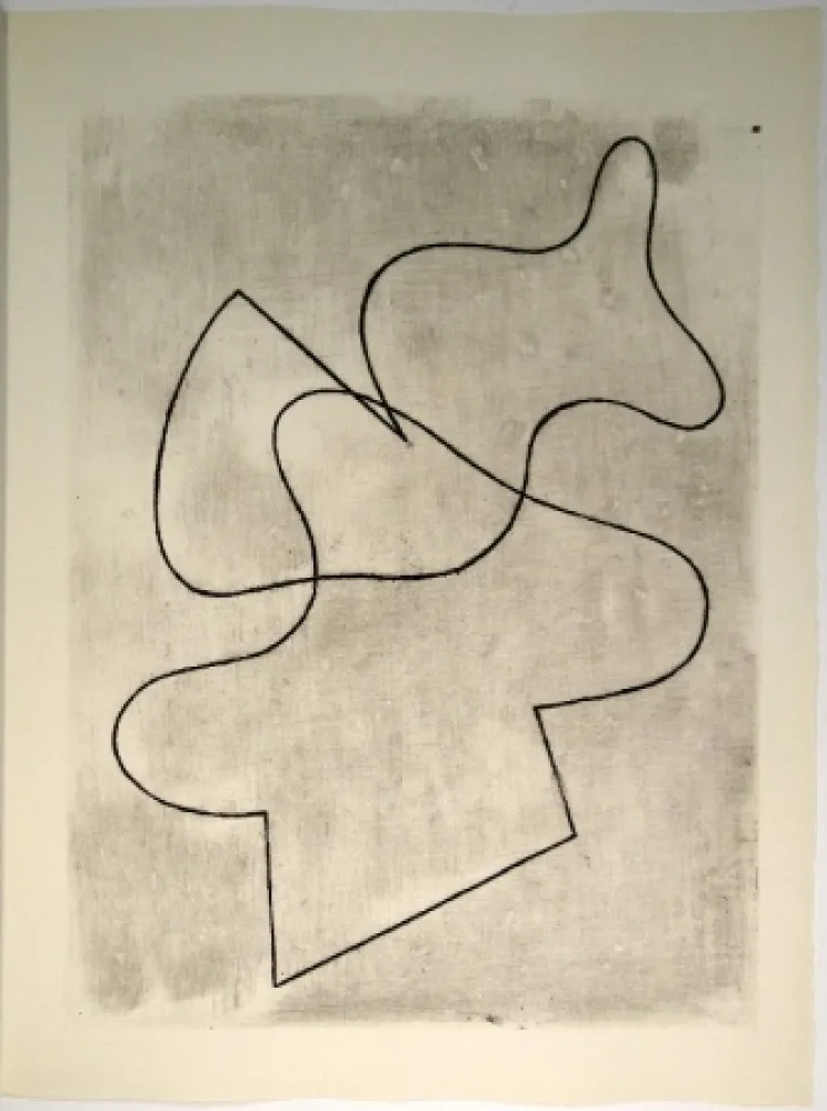 Libro Illustrato Arp - Vers le blanc infini