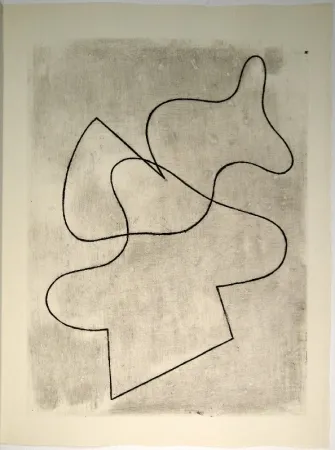 Libro Illustrato Arp - Vers le blanc infini