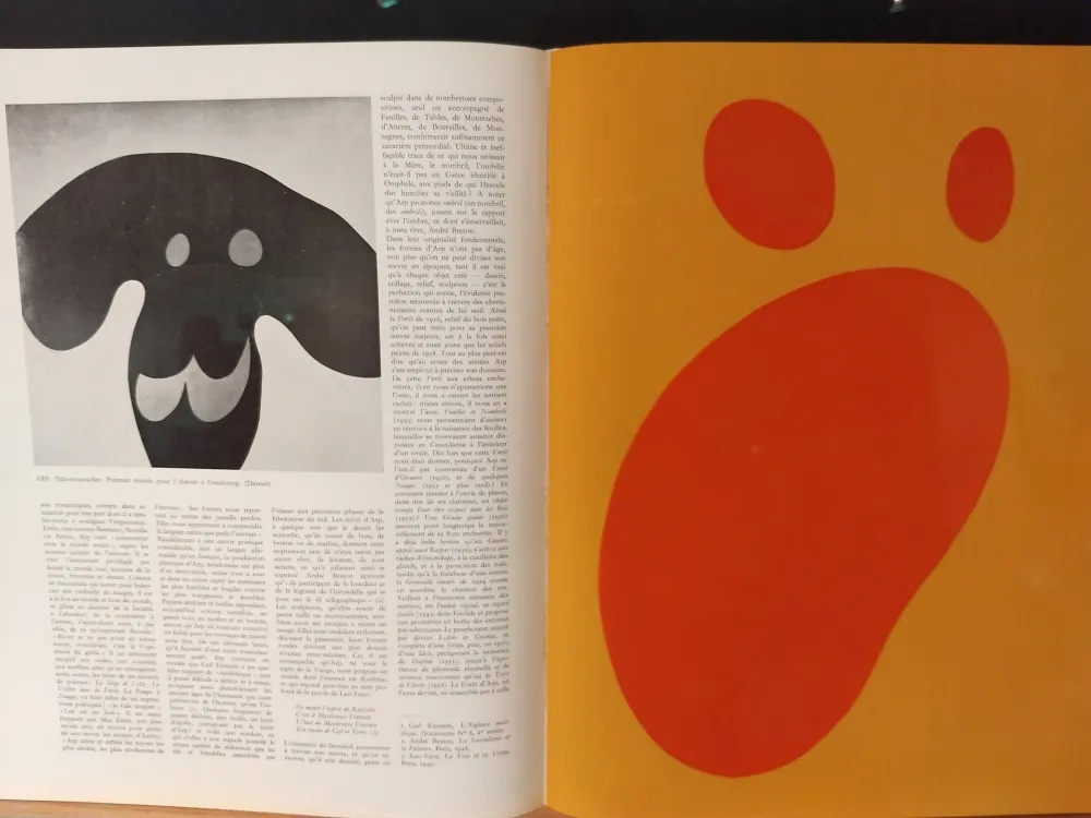 Libro Illustrato Arp - Xxe No 11