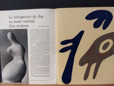 Libro Illustrato Arp - Xxe No 19
