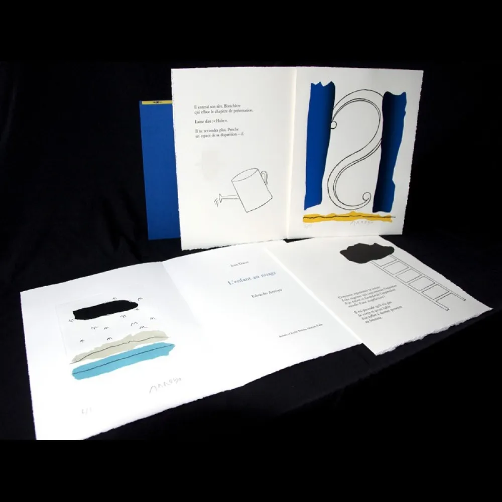 Libro Illustrato Arroyo - L'enfant au nuage