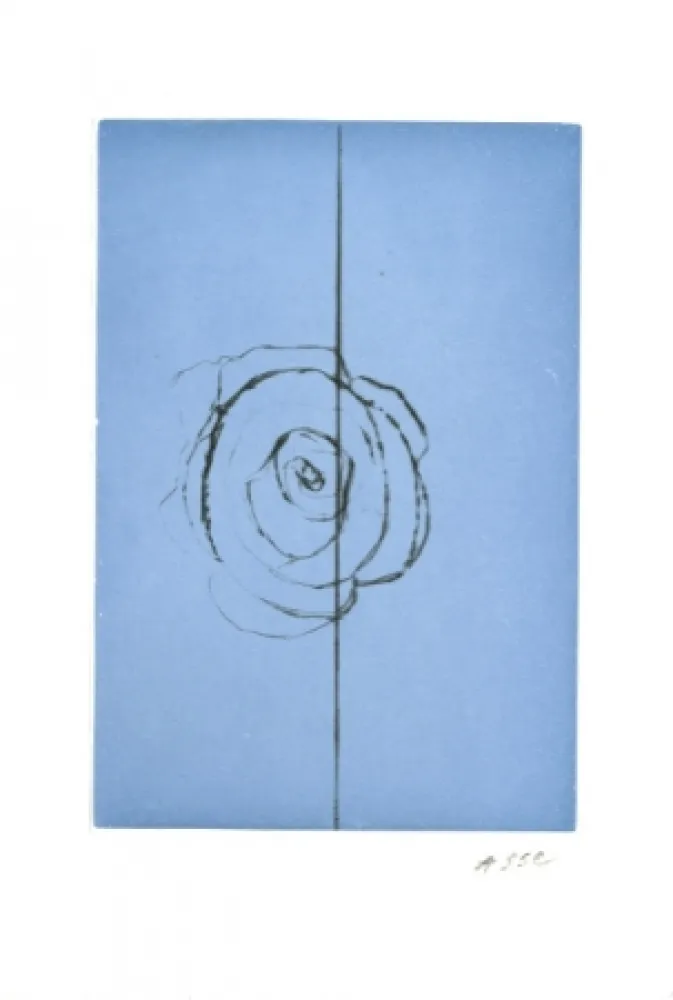 Acquaforte E Acquatinta Asse - La fabrique des fleurs