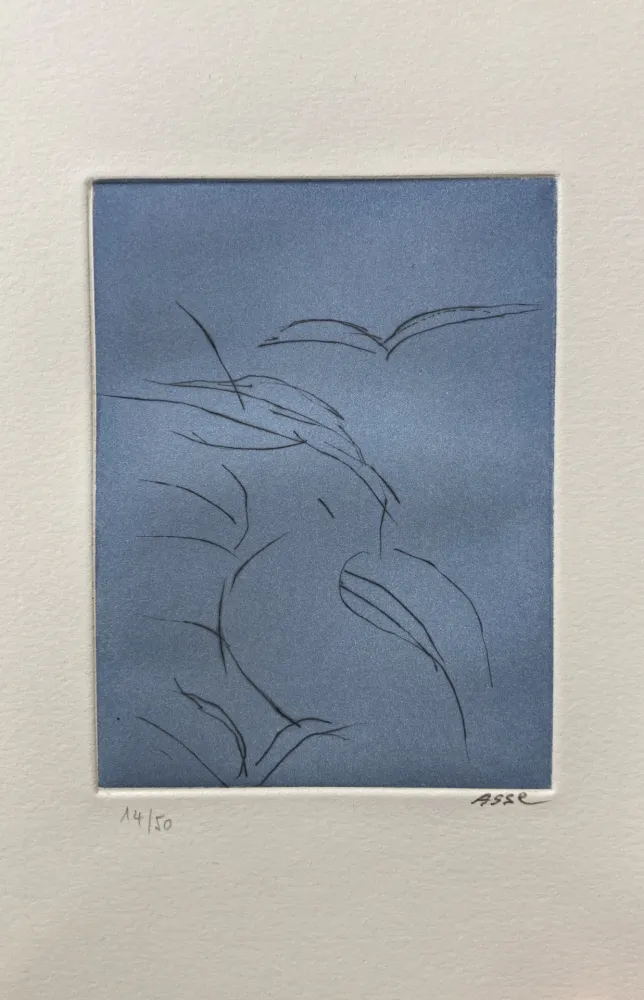 Libro Illustrato Asse - Notes sur Thème. 9 pointes sèches. 