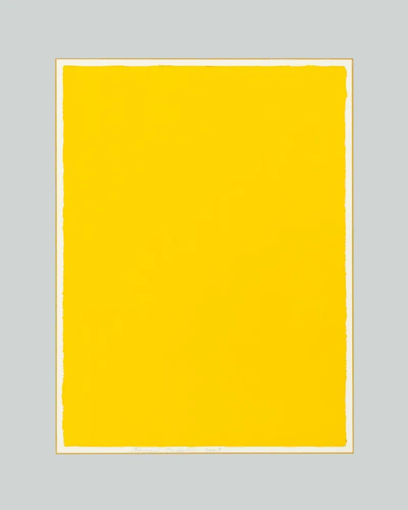 Non Tecnico Aubertin - Monocromo giallo