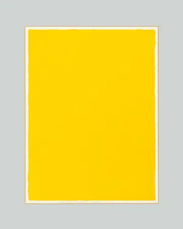 Non Tecnico Aubertin - Monocromo giallo