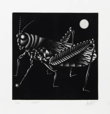 Maniera Nera Avati - Criquet