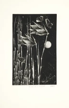 Acquatinta Avati - Les papillons de Nagasaki