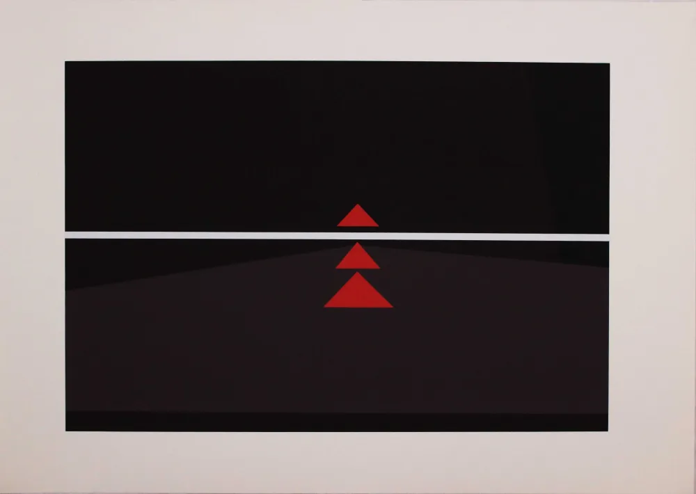 Serigrafia Badiali - Sei fasi progressive di verticalità elastica