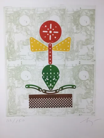 Acquaforte Baj - Fiore meccanico