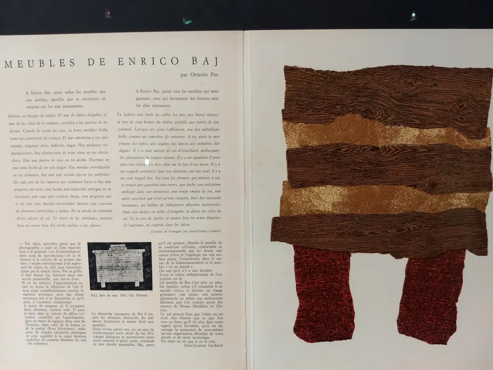 Libro Illustrato Baj - Xxe No 20