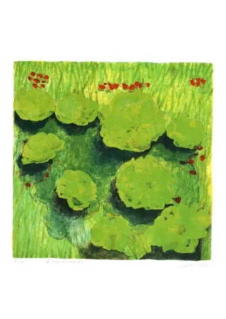 Litografia Balas - Le premier enclos