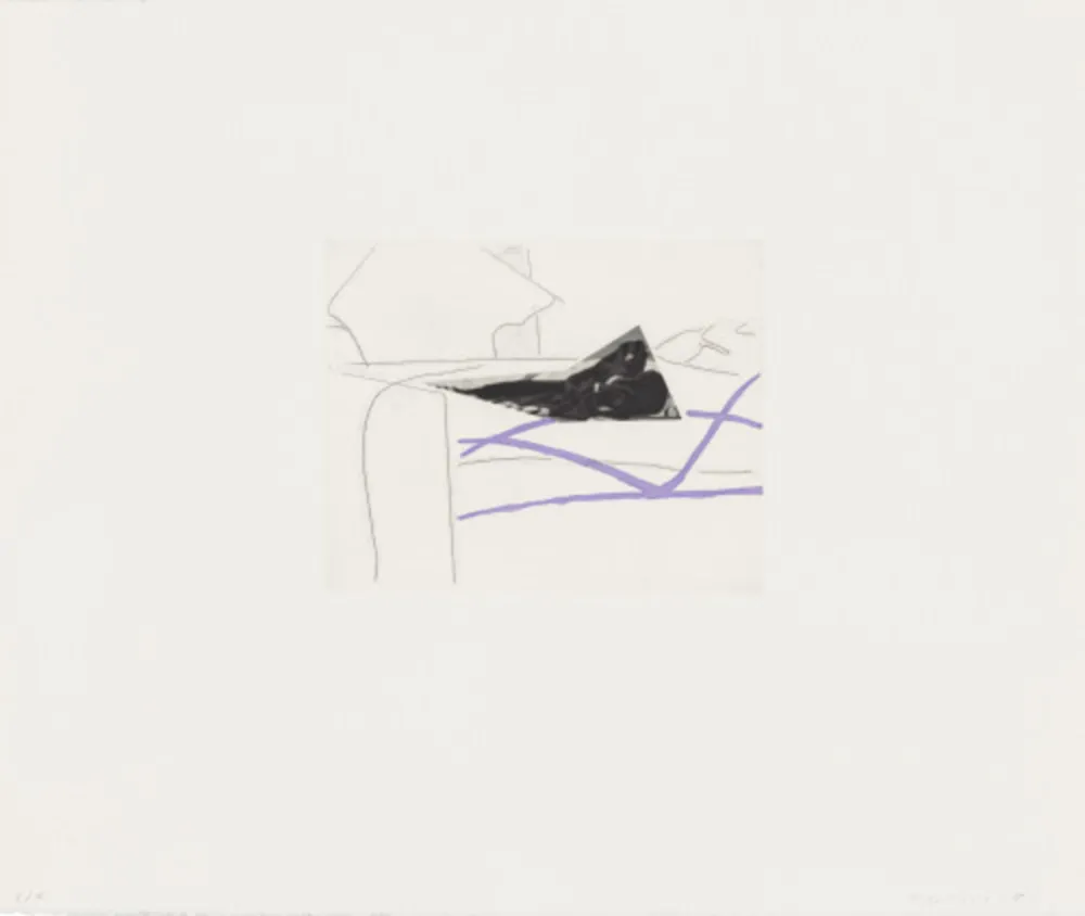 Acquaforte E Acquatinta Baldessari - Black Dice 5