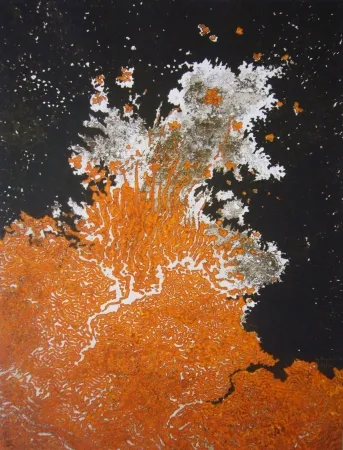 Incisione Ballif - Kissibangi