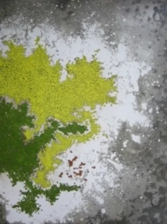 Incisione Ballif - LeVenez