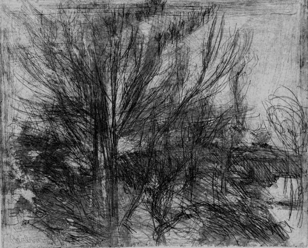 Acquaforte Barbisan - Alberi