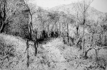 Acquaforte Barbisan - Paesaggio in collina