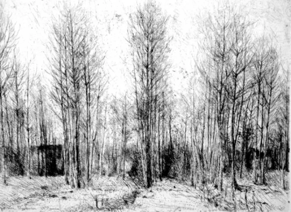 Acquaforte Barbisan - Pioppi