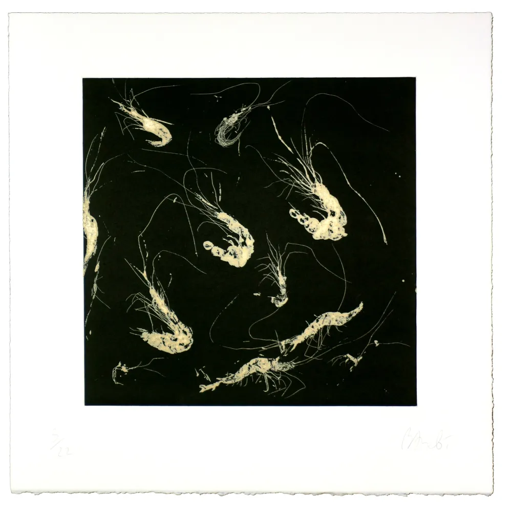 Acquatinta Barcelo - Crevette dans tous les états