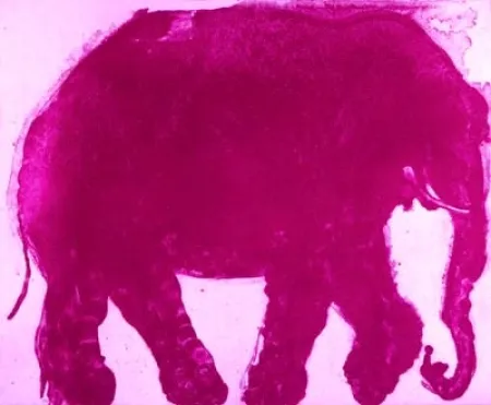 Acquaforte E Acquatinta Barcelo - Lanzarote 14