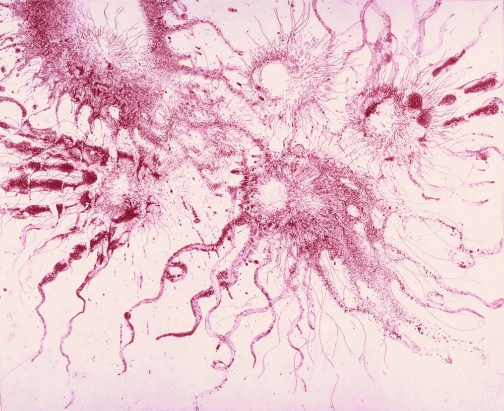 Acquaforte E Acquatinta Barcelo - Lanzarote 20