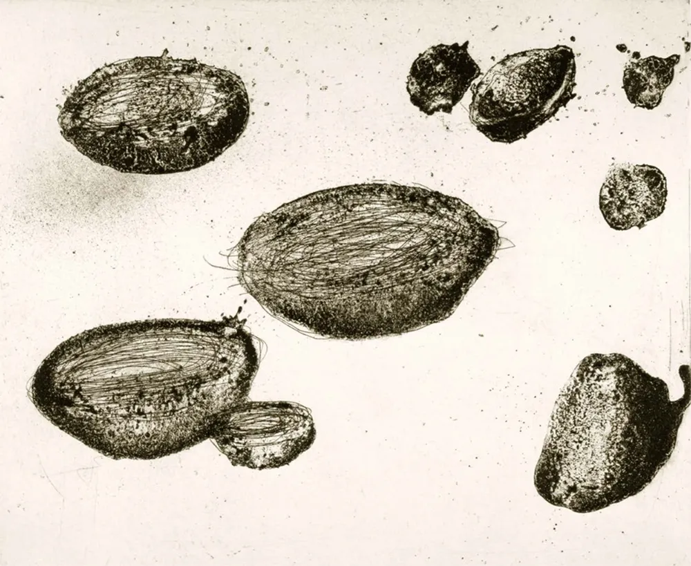 Acquaforte E Acquatinta Barcelo - Lanzarote 22