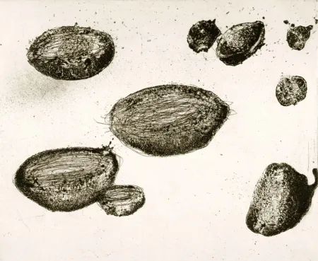 Acquaforte E Acquatinta Barcelo - Lanzarote 22