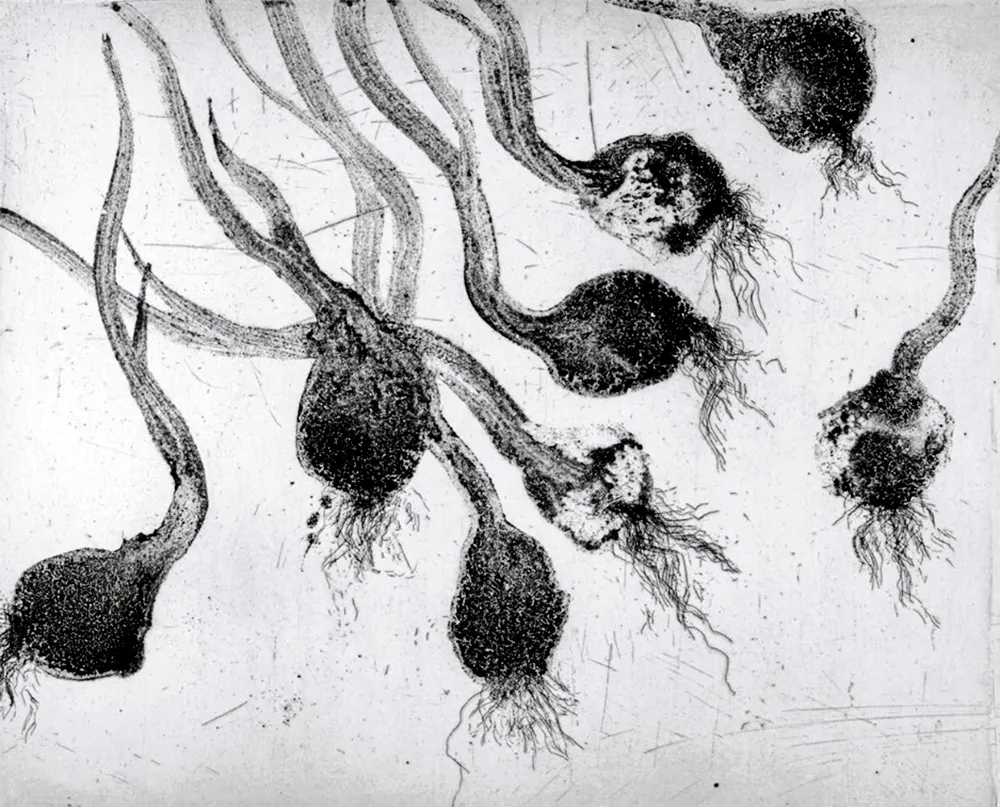 Acquaforte E Acquatinta Barcelo - Lanzarote 24