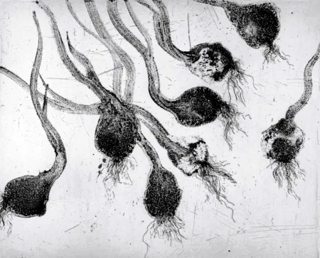 Acquaforte E Acquatinta Barcelo - Lanzarote 24