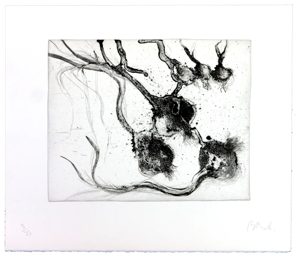 Incisione Barcelo - Lanzarote 25