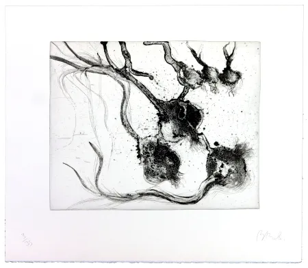 Incisione Barcelo - Lanzarote 25