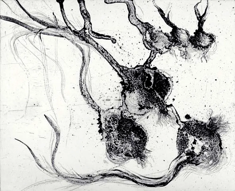 Incisione Barcelo - Lanzarote 25