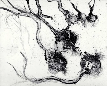 Incisione Barcelo - Lanzarote 25