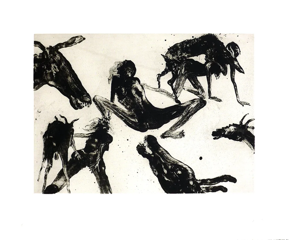 Incisione Barcelo - Lanzarote 34