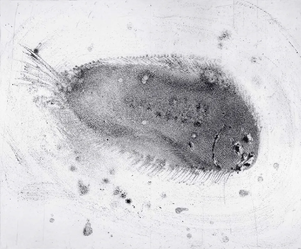 Acquaforte E Acquatinta Barcelo - Lanzarote 39