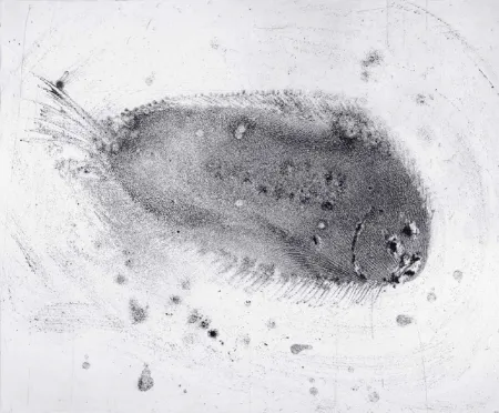 Acquaforte E Acquatinta Barcelo - Lanzarote 39