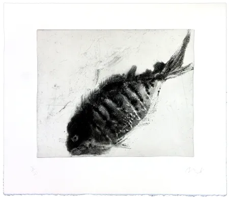 Incisione Barcelo - Lanzarote 39