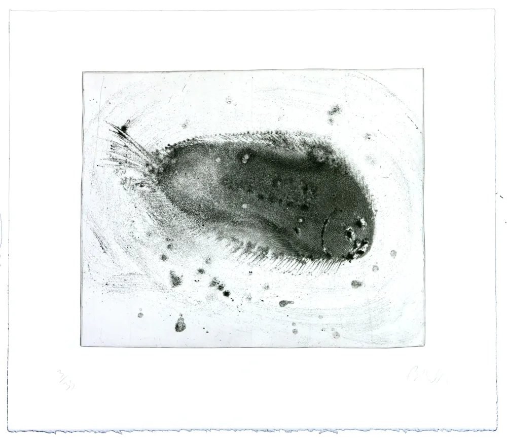 Incisione Barcelo - Lanzarote 39