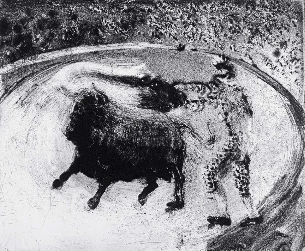 Acquatinta Barcelo - Lanzarote 49